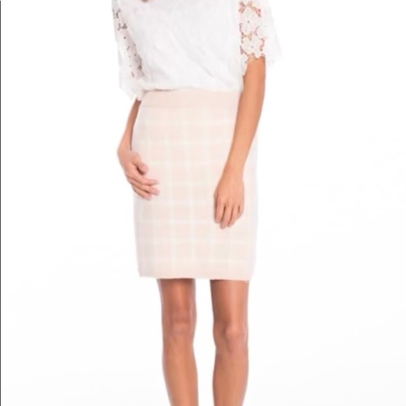 NWOT English Factory Pink and white skirt - Picture 3 of 11